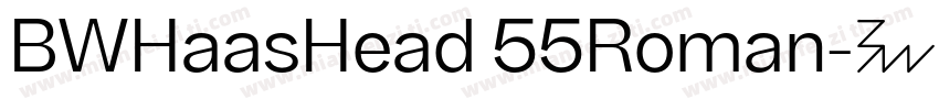 BWHaasHead 55Roman字体转换